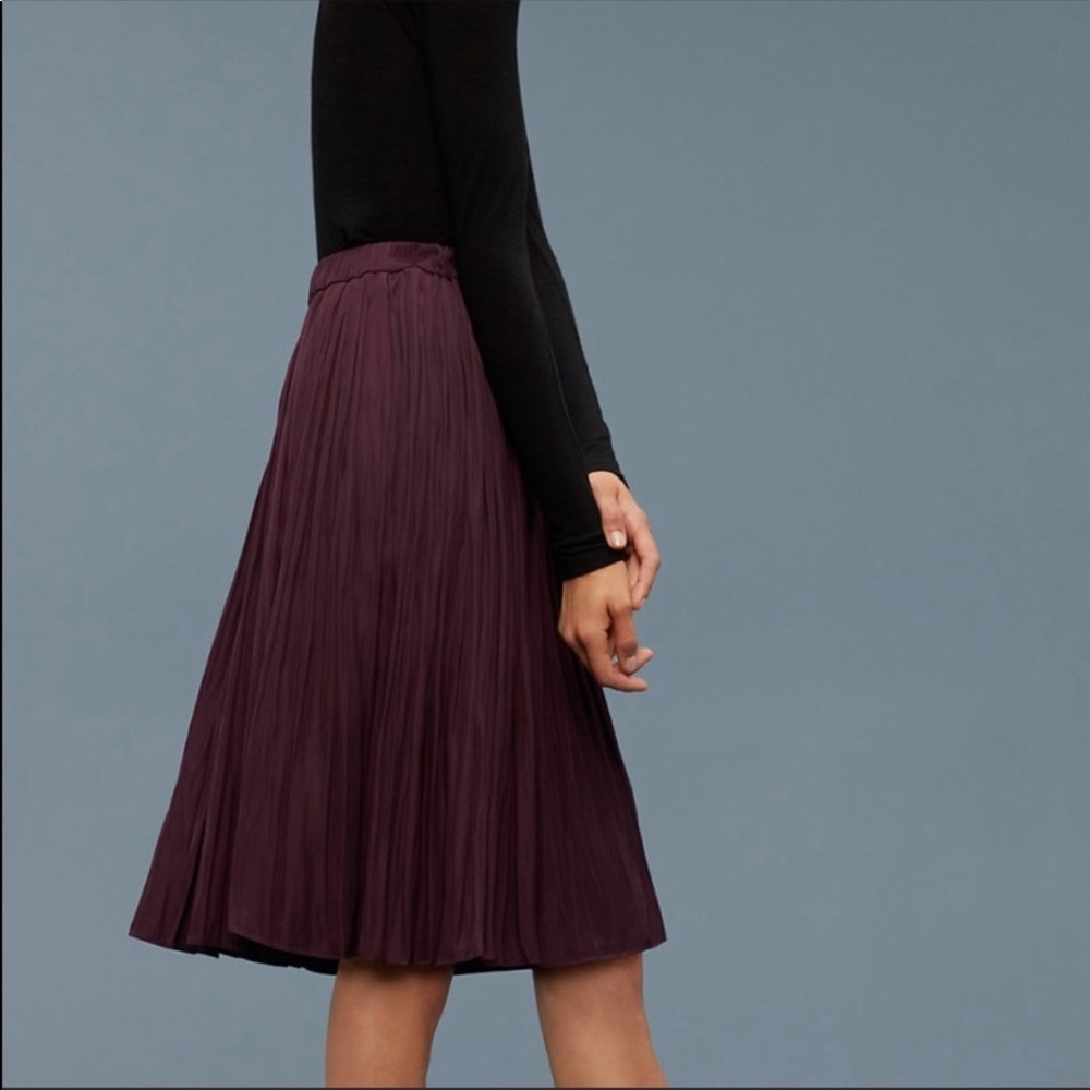 Aritzia Wilfred Borjes Skirt